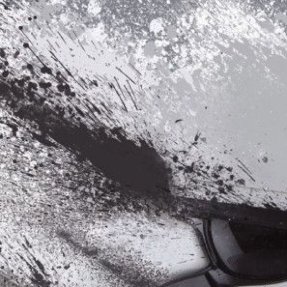 Meet your Posher, Jose